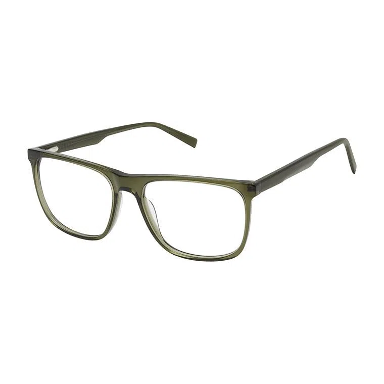 Aristar AR18665 Eyeglasses